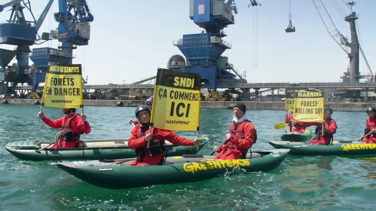 [Action] Greenpeace bloque un cargo de soja &agrave; S&egrave;te