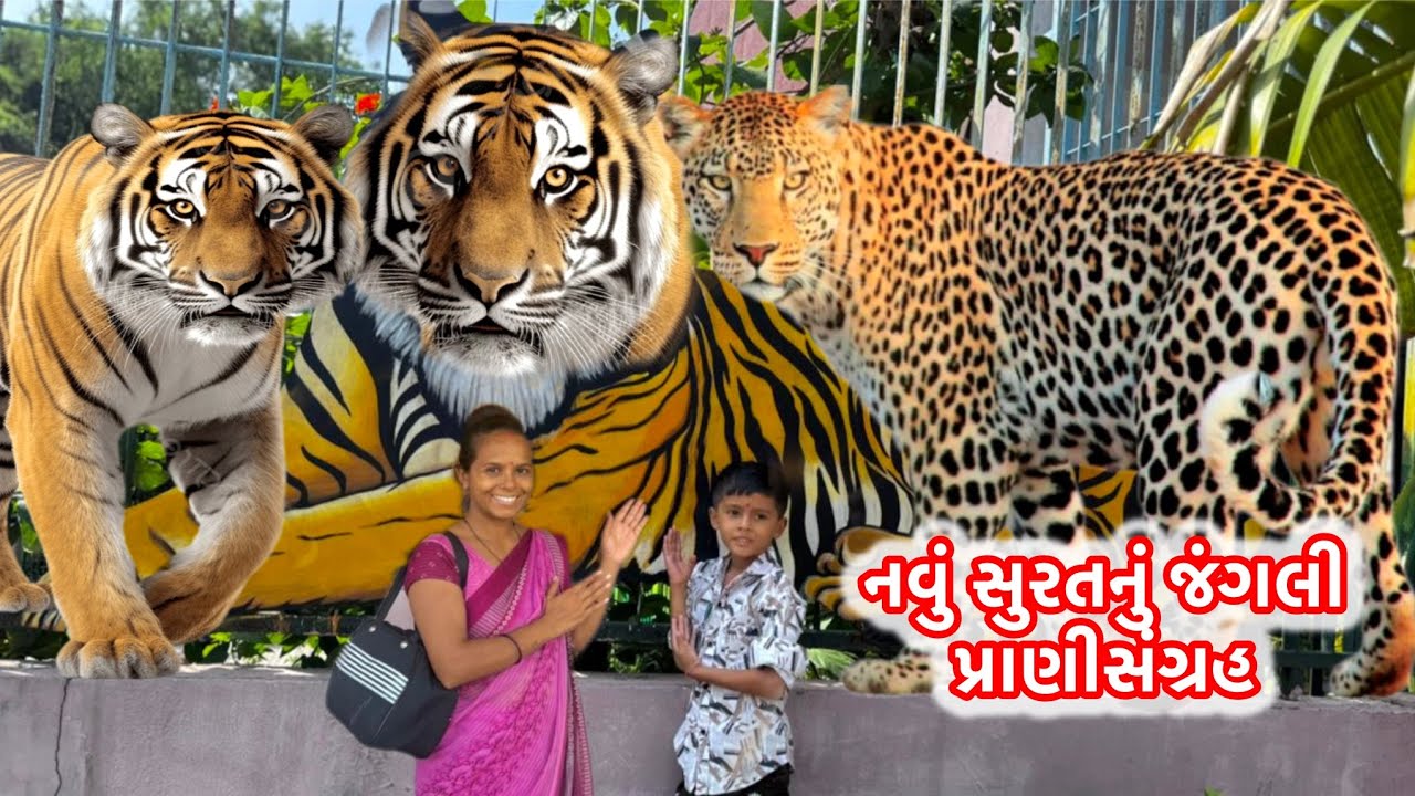 નવું સુરતનું જંગલી પ્રાણીસંગ્રહ KingLion #animals #surat Sarthana Nature Park  park Krugerpark