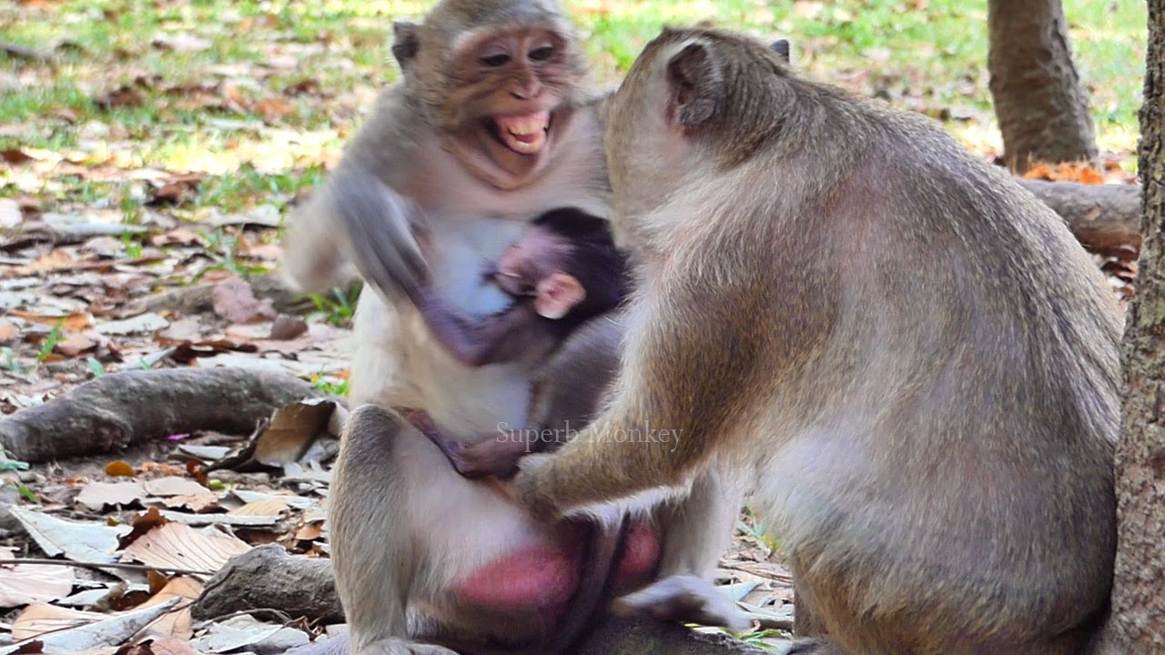 Godd...! Mom Jazzy @lmost s_tuckk old Loni's activities wanna s_eizee ​baby Jiva during feeds