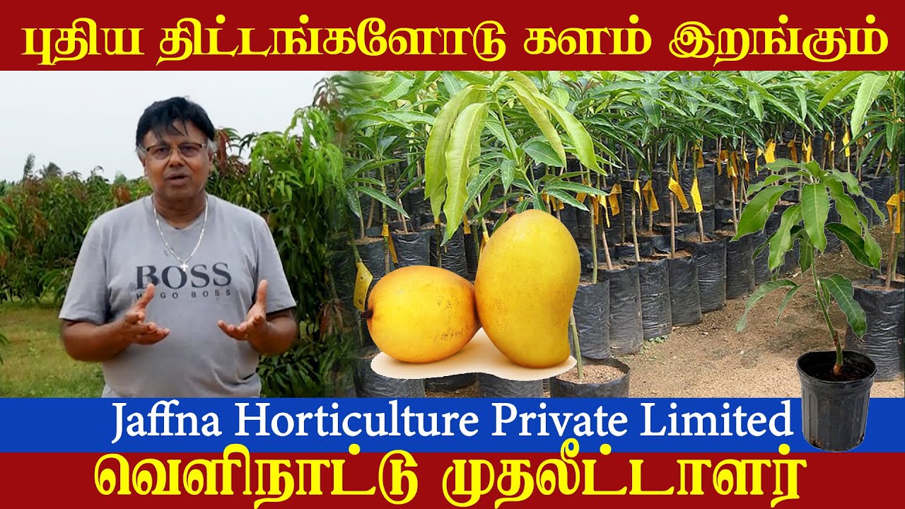 புதிய திட்டங்களோடு களமிறங்கும் Jaffna Horticulture Private Limited வெளிநாட்டு முதலீட்டாளர்