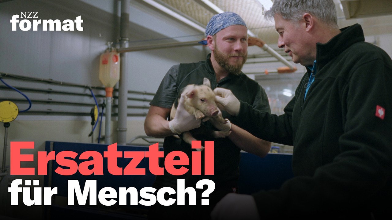 Heilung oder Horror? Wie die Gen-Schere CRISPR Leben auf unserem Planeten verändert | Doku