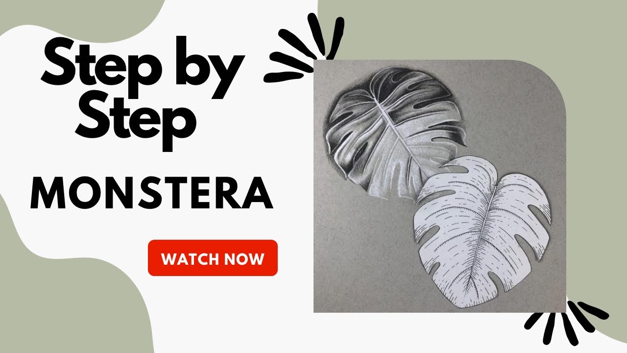 How to Draw a Monstera Leaf - Step by Step - beginner friendly