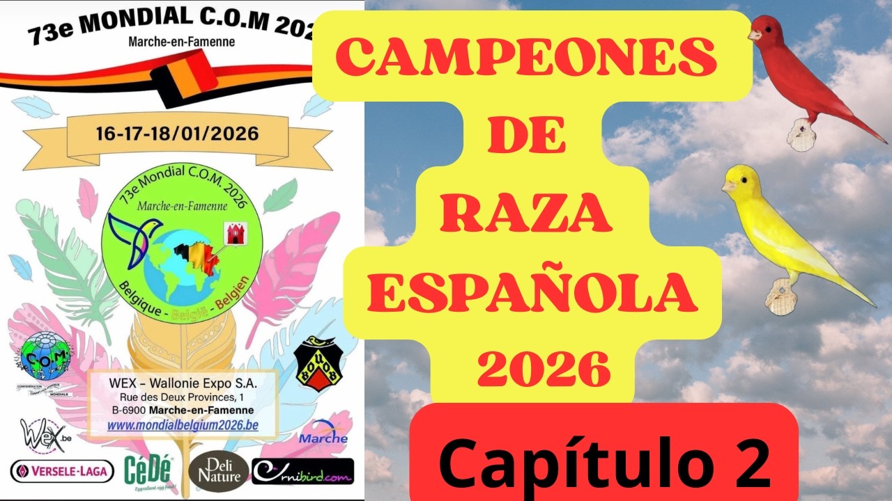 RAZA ESPAÑOLA CAMPEONES DEL MUNDO CHAPTER 2