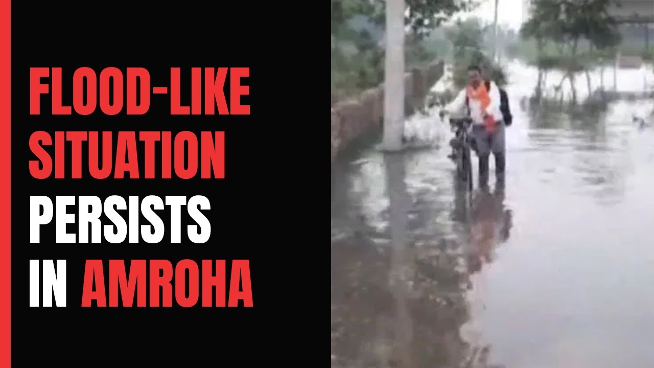 UP: Flood-Like Situation Persists In Amroha Due To Heavy Rainfall