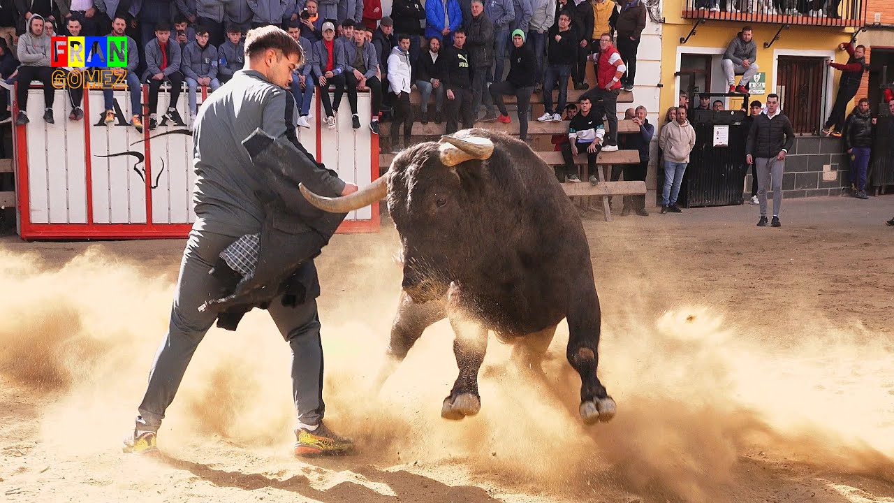 3 Toros - Peña Los Mil Duros - Castellnovo (Castellón) 2024 Toros Fran Gomez Bous Al Carrer FJGNtv