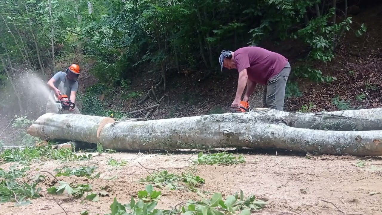 Stihl 066... Stihl  ms 261...