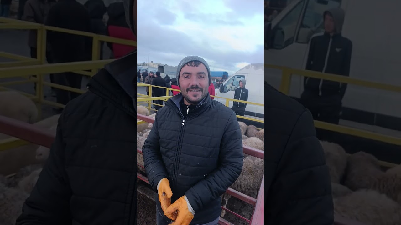 Şuhut canlı hayvan pazarı YouTube Kuzucu isa olarak takip Edip abone olabilirsiniz 