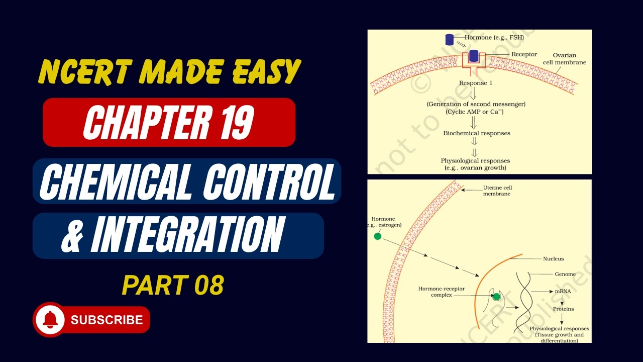 Chemical Coordination and Integration | Part 08 | Mechanism of Hormone Action | NCERT Line by Line