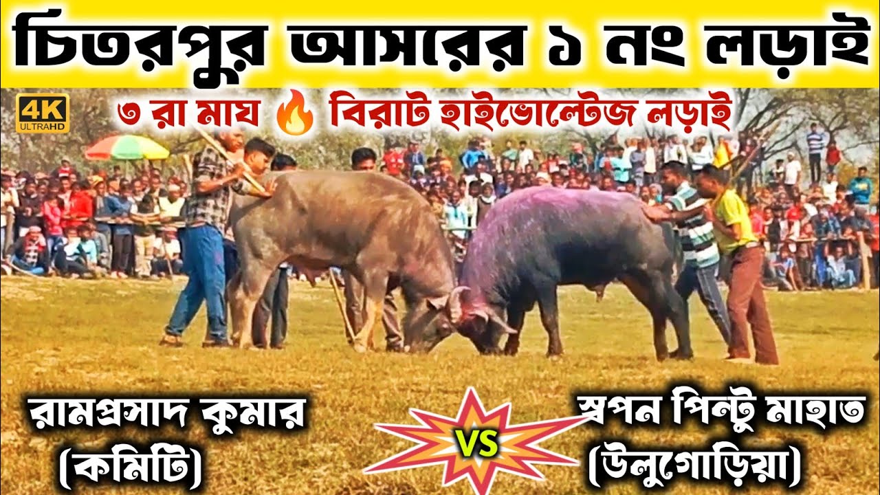 চিতরপুর আসরের ১ নং হাইভোল্টেজ লড়াই 🔥 রামপ্রসাদ কুমার বনাম স্বপন পিন্টু মাহাত||Chatarpur 1 No Lorai 