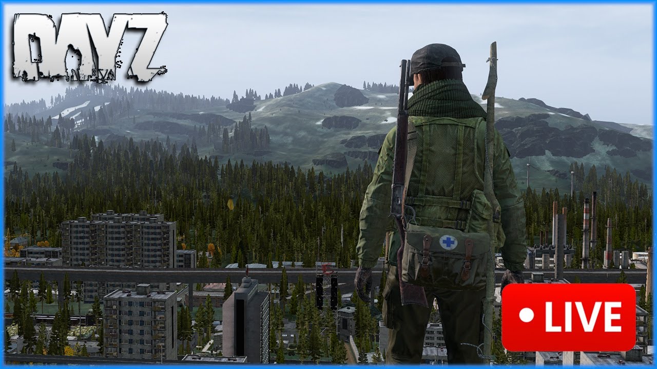 DayZ LIVE | 1440p | Nitno 317