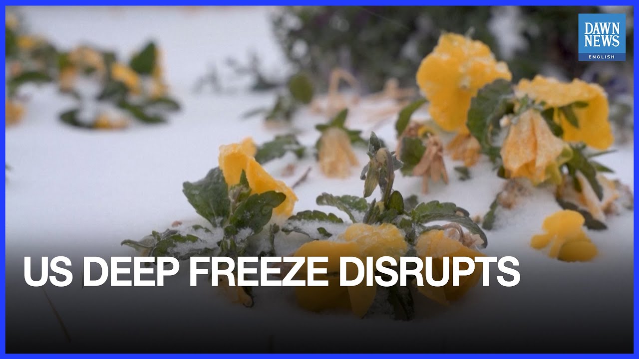 Deep Freeze Grips US as Millions Face Outages, Disruptions | Dawn News English