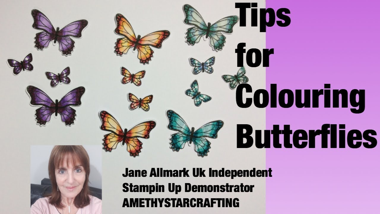 Tips for colouring butterflies using Stampin Up Butterfly Gala