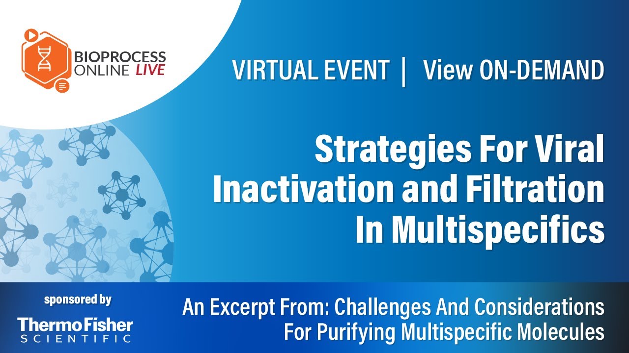 Strategies For Viral Inactivation and Filtration In Multispecifics