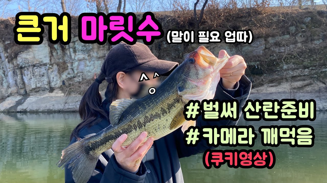 영상 내내 큰 거 잡고 / 카메라 깨먹고 사고친 나(+쿠키영상) / 4짜 가득 / 벌써 산란 준비? / 피네스낚시