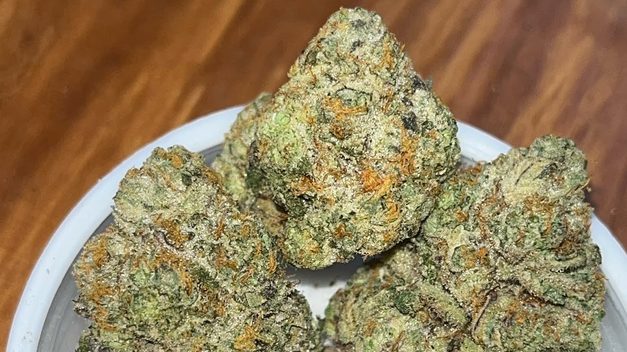 Gary Payton by FloraVega Strain Review