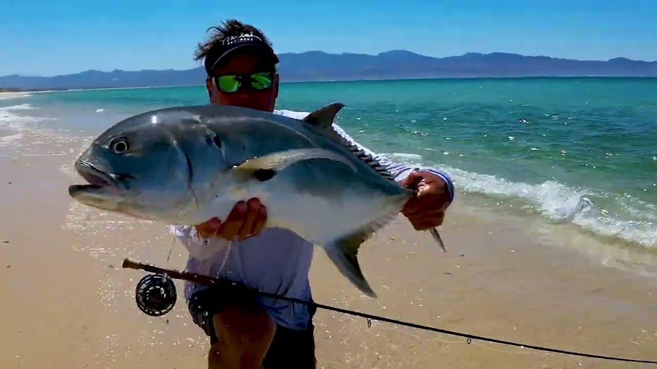 Baja fly fishing beach for jack crevalle.