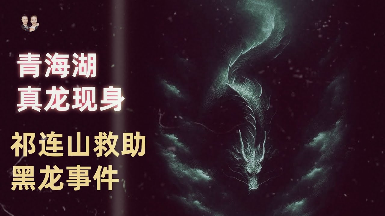 親歷者爆料青海湖真龍現身事件！祁連山洞内親歷者與風水大師救助黑龍！|宇哥與小糖