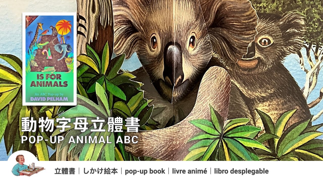 Animal Alphabet Pop-Up Book｜A is for animals - An ABC Pop-Up