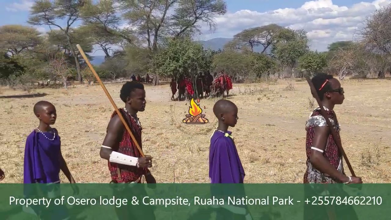 Ep 3.6 2024 OLC Maasai Circumcision ceremony