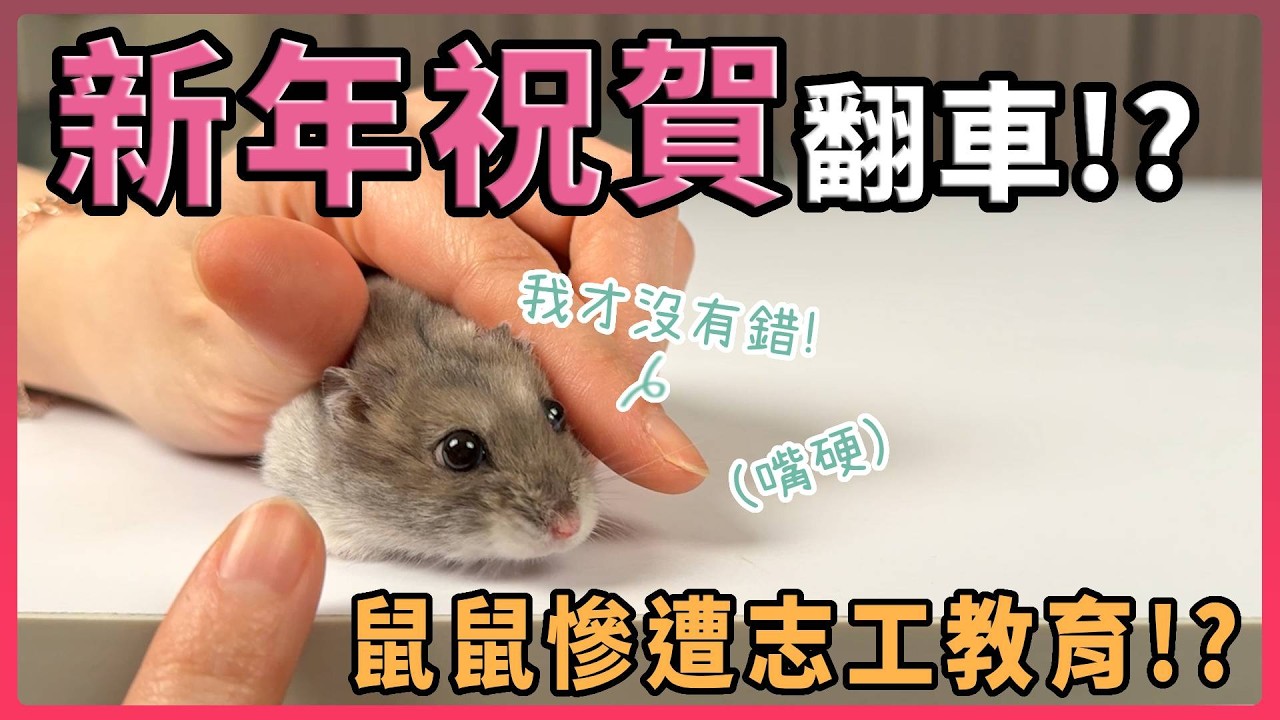 祝賀新年！鼠鼠書法大隊翻車？ 竟遭志工教育！【鼠王駕到】