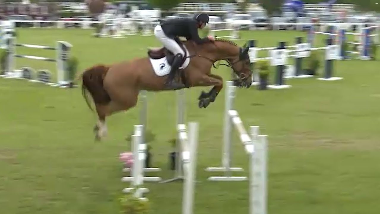 Gospel Tame & Patrick Hickey - GP 1.50m (Quadrio Tame x Panama Tame)