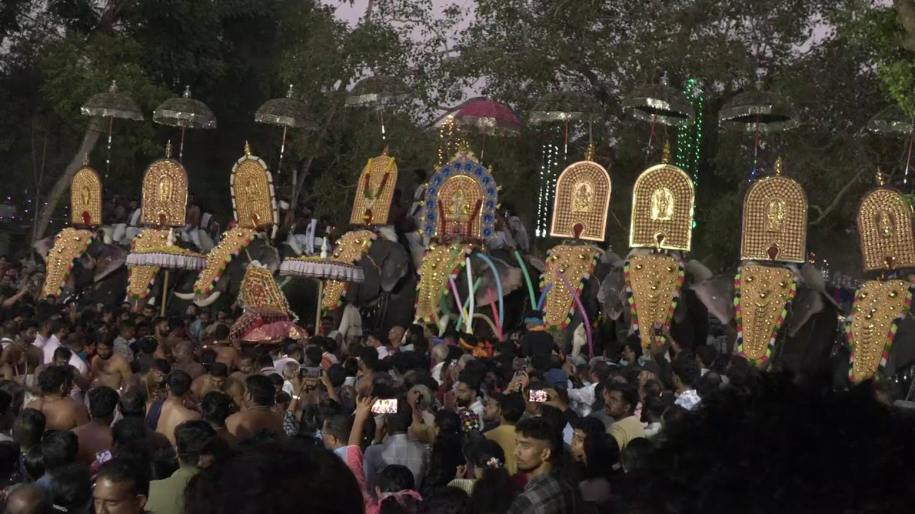 കാട്ടുവള്ളിൽ പകൽപൂരം