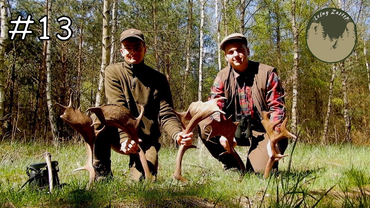 Leśny Zastęp odc. 13 Wyprawa na zrzuty danieli do Puszczy Zielonki.