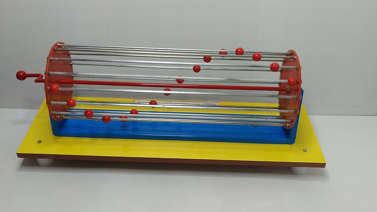 Wave Motion Model
