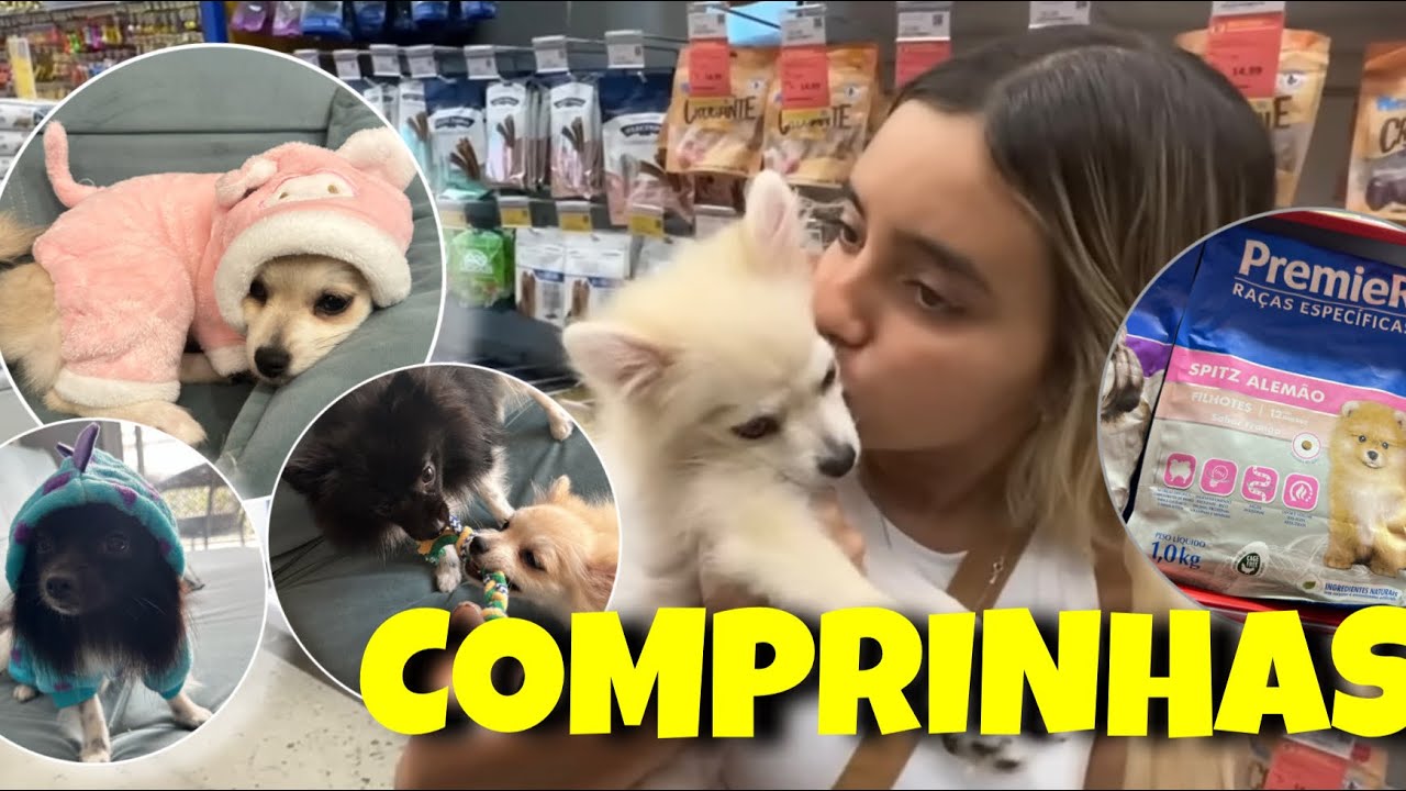 COMPRINHAS PARA AS MINHAS CACHORRINHAS! ARYA E SANSA - Bela Almada