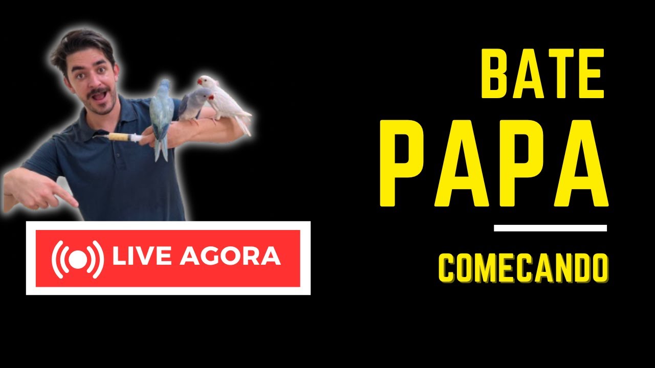 BATE PAPA 05