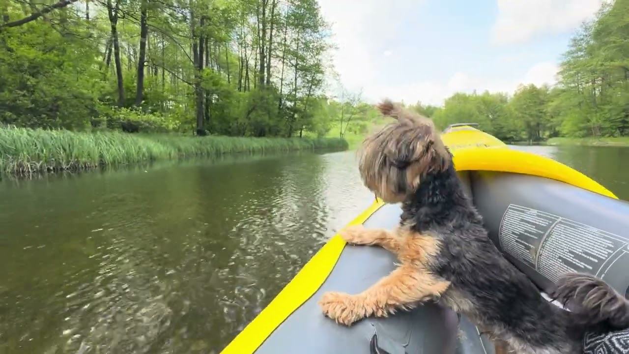Peaceful Boat Ride on a Quiet River &ndash; No Words, Just Nature