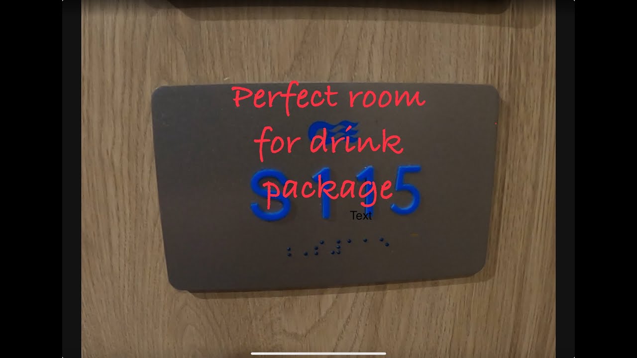 Vista Suite S115 Discovery Princess. Perfect Suite for a drink package.