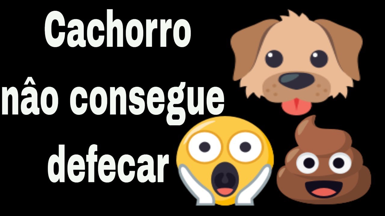 CACHORRO NÃO CONSEGUE DEFECAR