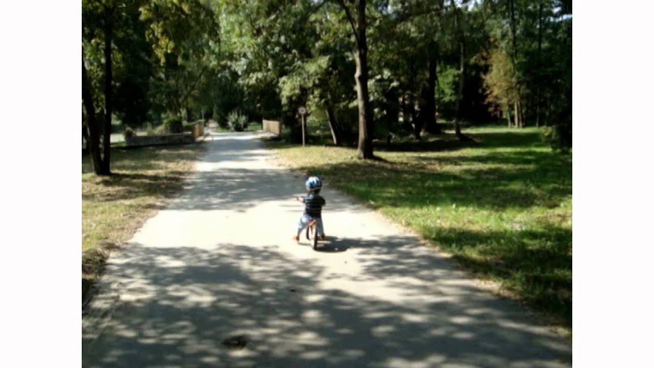 Dwulatek na rowerku biegowym LIKEaBIKE Mini