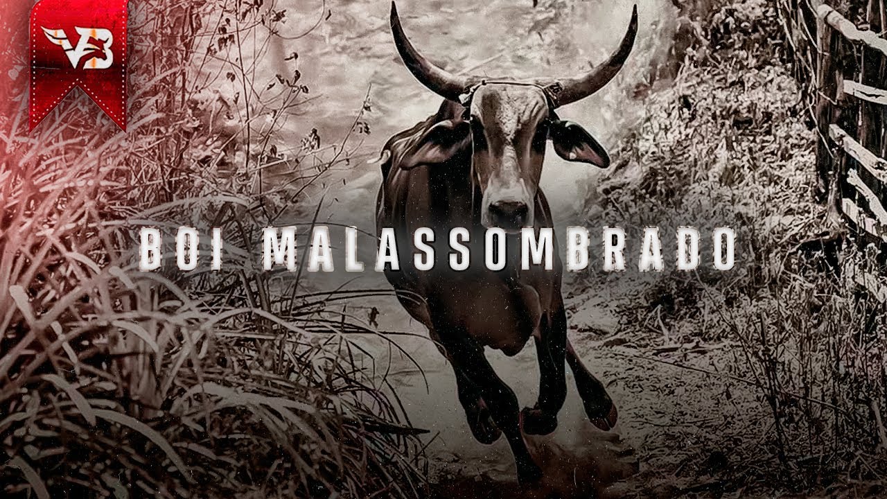 Boi Malassombrado / Corrida de Mourão / Valeu Boi - Ramon e Randinho (Medley Vaquejada) VB Oficial