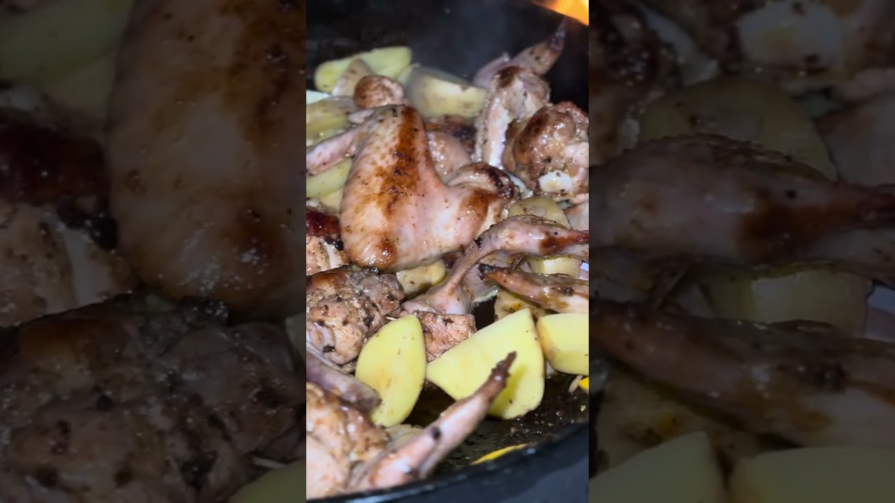 Preparing chicken wings in nature 