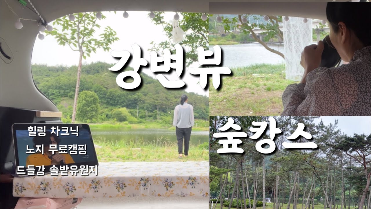 비가 오락가락하는 날..조용히 힐링 차크닉 다녀왔습니다ㅣ차박성지 ㅣ드들강솔밭유원지