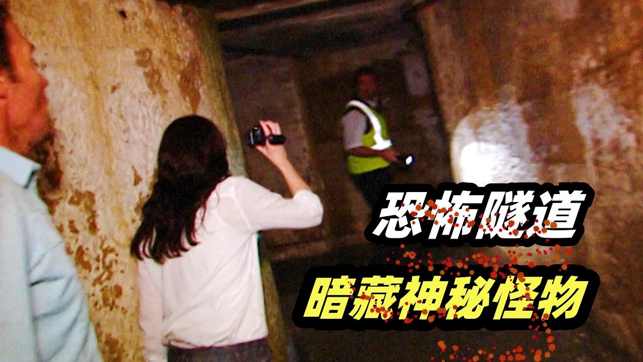 二战废弃隧道藏有嗜血鬼魅，拍摄团队惊魂逃生，结局令人绝望愤怒！伪记录恐怖电影《灵异隧道实录》