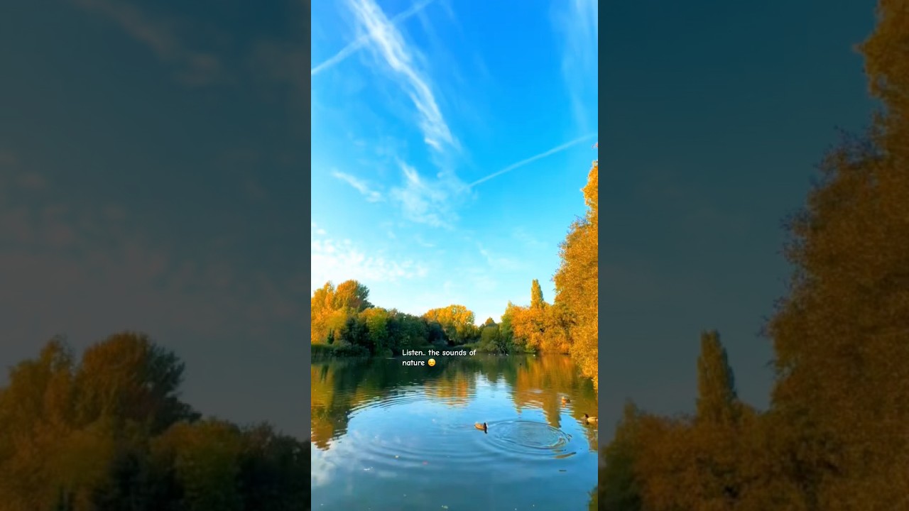 Listen.. the sounds of nature ☺️ #soundsofnature  #sounds #nature #foryou