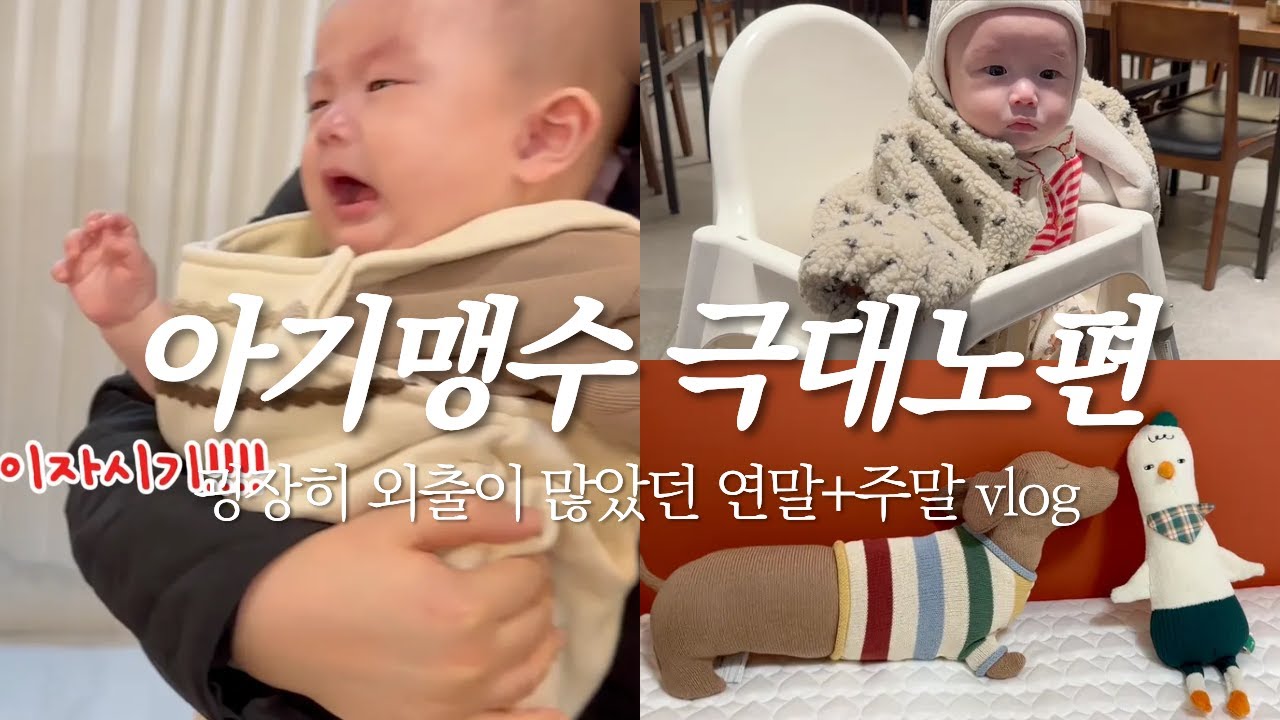 육아 브이로그 아기맹수 극대노 편 (연말+주말 바쁘다 바빠)