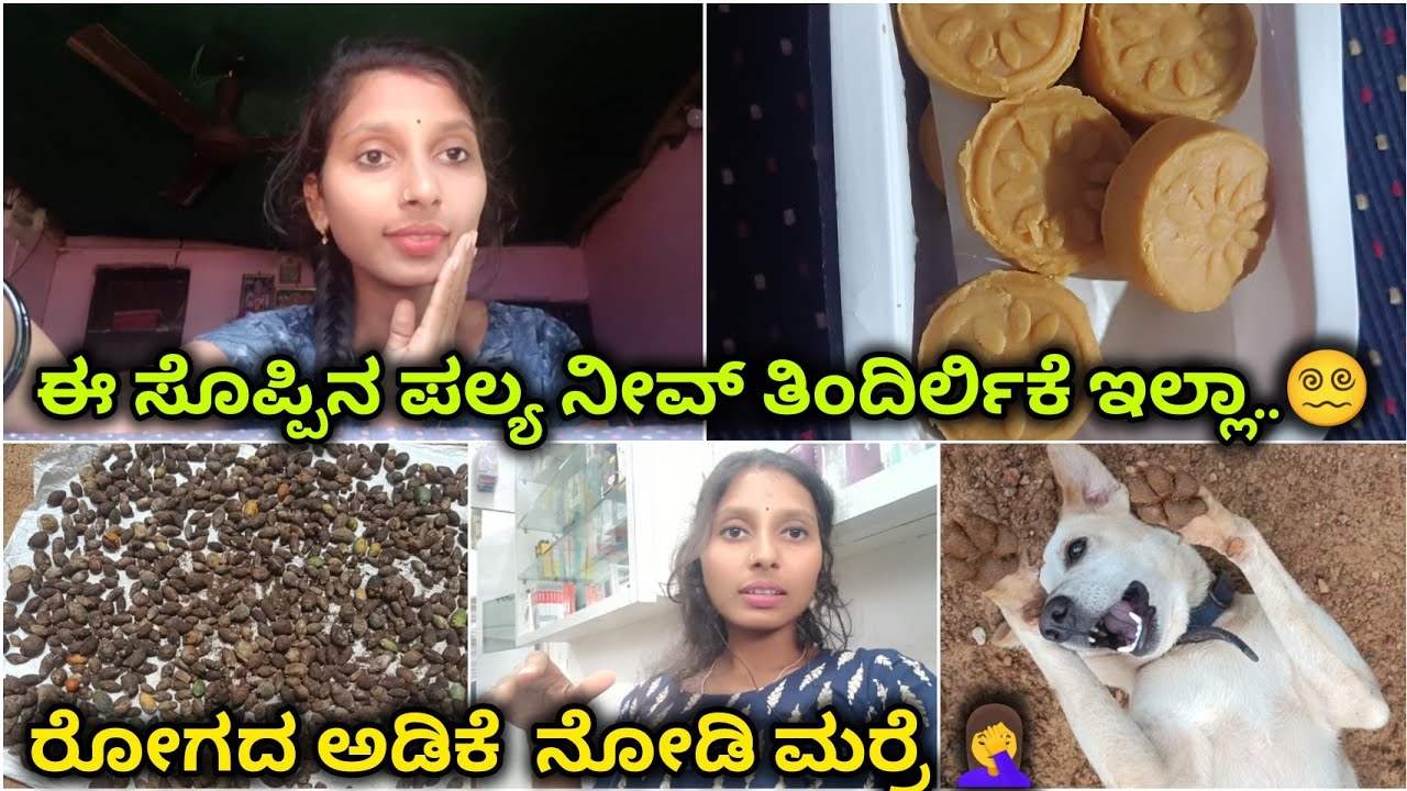 #ಕನ್ನಡ vlog❤️|ಈ ಸೊಪ್ಪಿನ ಪಲ್ಯ ತಿಂದಿರ್ಲಿಕೆ ಇಲ್ಲಾ ಅನ್ಸುತ್ತೆ ಅಲ್ವಾ...?|keerthi kukke vlogs|