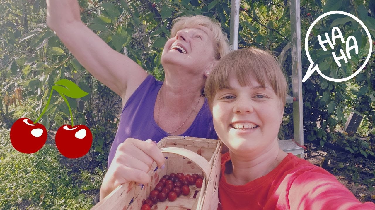 VLOG: MAM SZALONĄ MAMĘ! 😂🍒