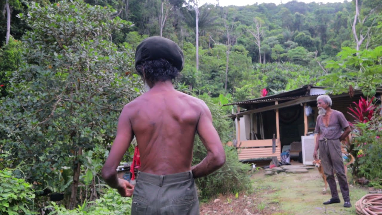 The natural life with Mr Bat and Farmer Harry