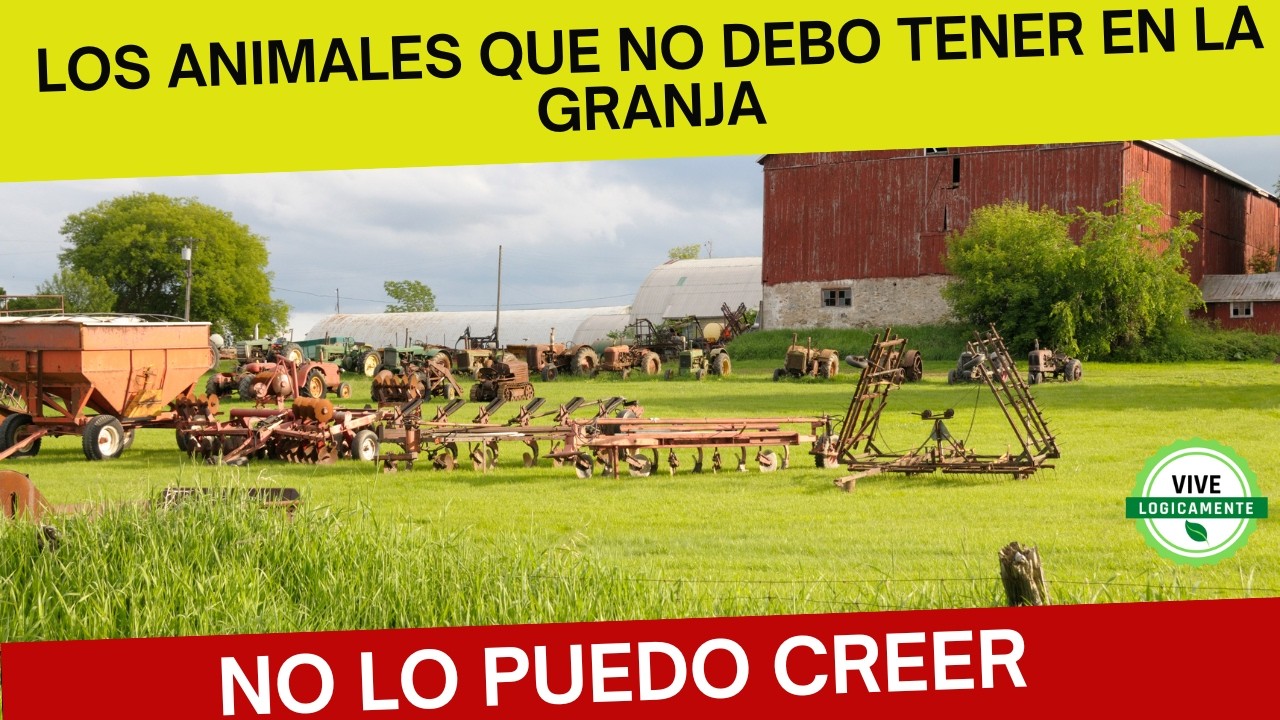 Los 5 Animales M&aacute;s Rentables para Tu Granja Peque&ntilde;a