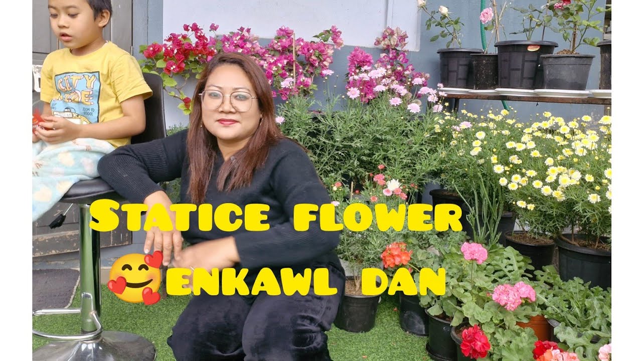 STATICE FLOWER KA ENKAWL DAN#Rfduati💞&Share