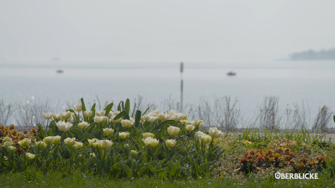Wie stehts um die erste Landesgartenschau am See?