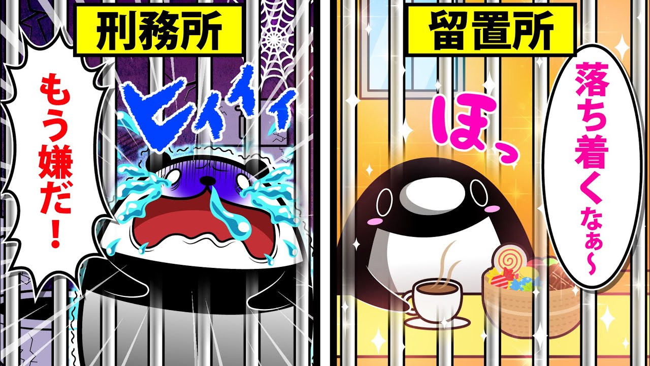 【アニメ】留置所に入るとどうなるのか？
