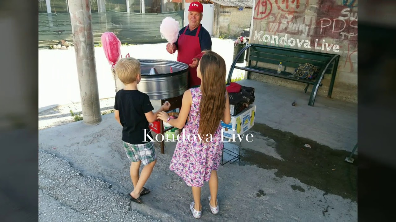 Kondova 2018