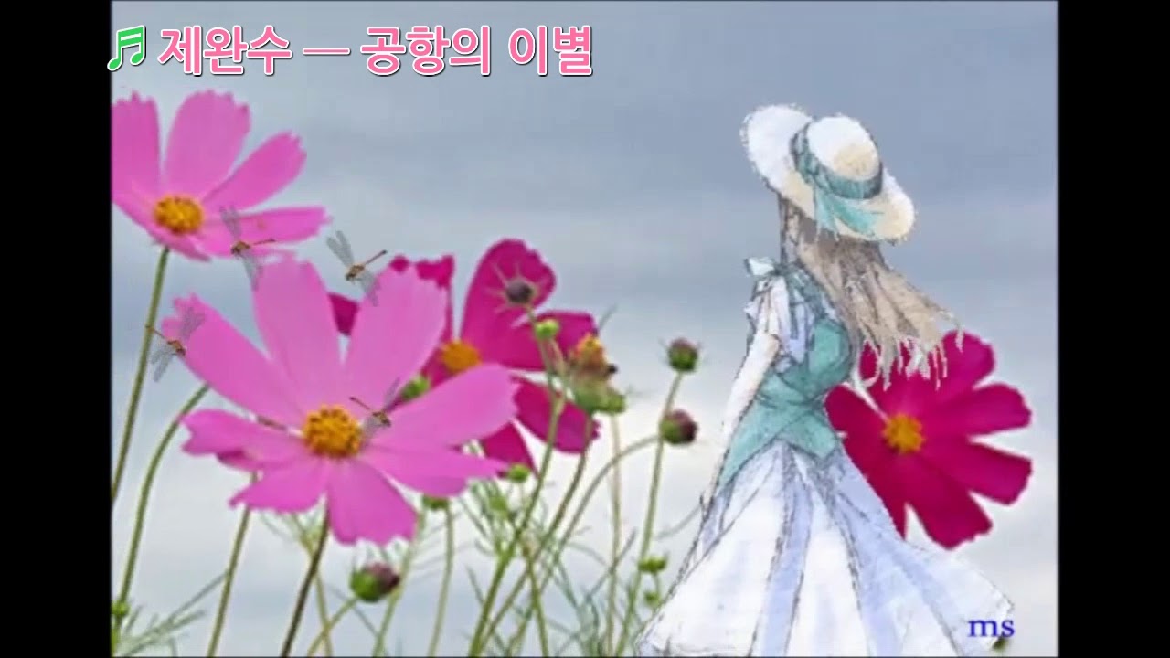 ♬ 제완수 ━ 공항의 이별 - 울어라 열풍아