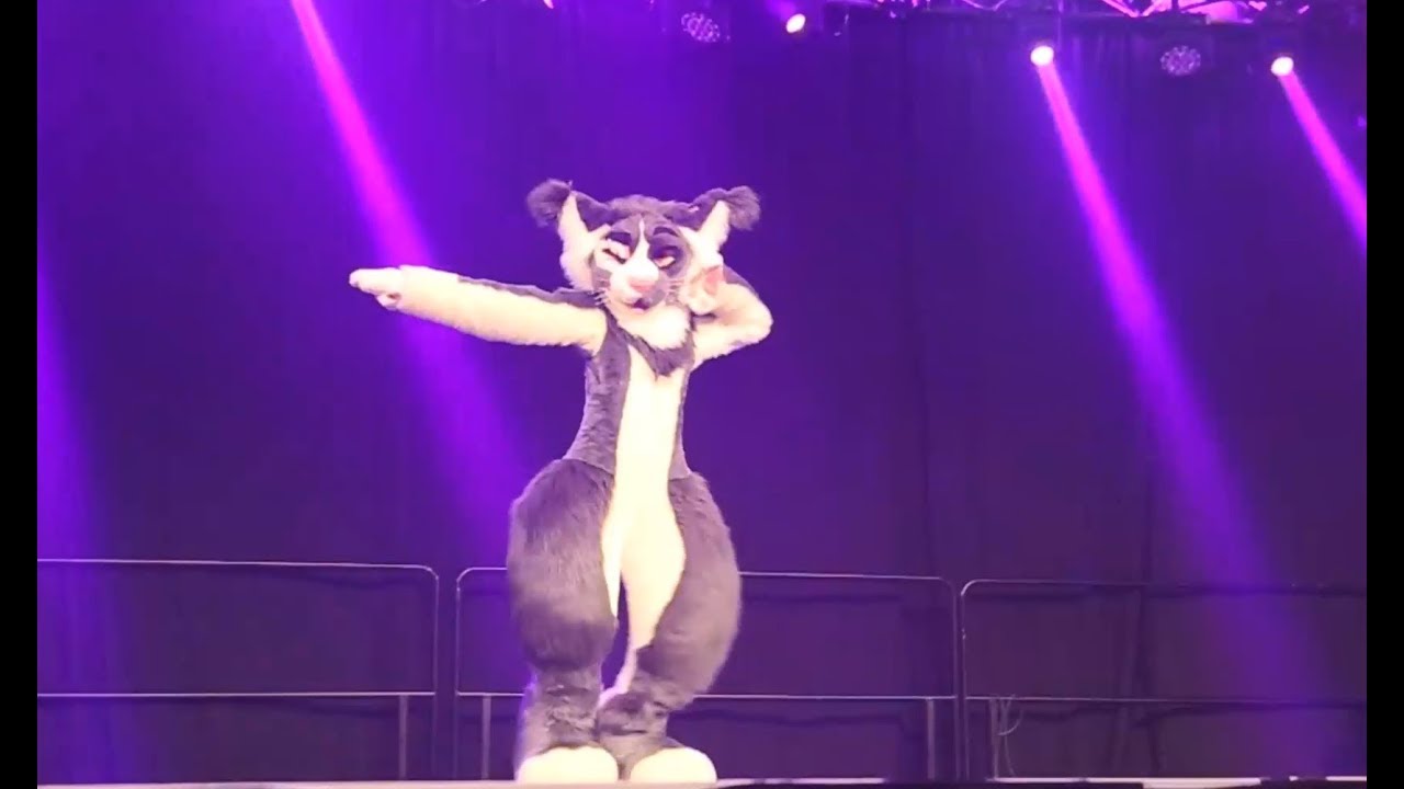Crowflight - AC 2019 Fursuit Dance Comp